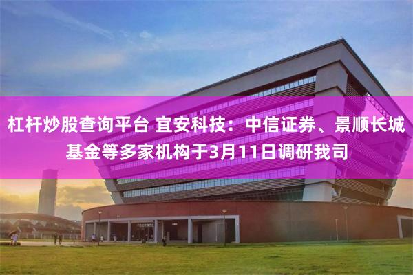 杠杆炒股查询平台 宜安科技：中信证券、景顺长城基金等多家机构于3月11日调研我司