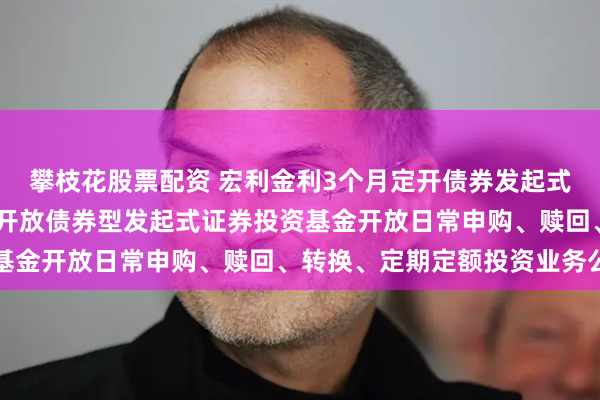攀枝花股票配资 宏利金利3个月定开债券发起式: 宏利金利3个月定期开放债券型发起式证券投资基金开放日常申购、赎回、转换、定期定额投资业务公告