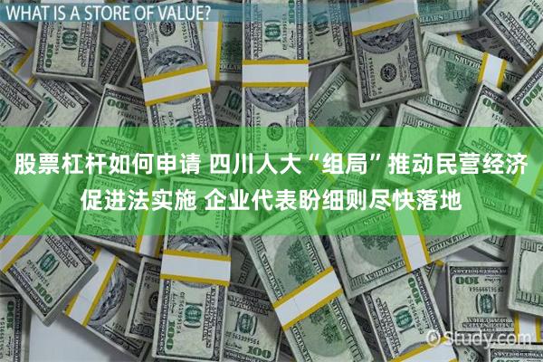 股票杠杆如何申请 四川人大“组局”推动民营经济促进法实施 企业代表盼细则尽快落地