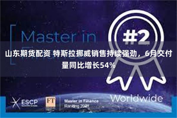 山东期货配资 特斯拉挪威销售持续强劲，6月交付量同比增长54%