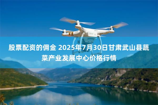 股票配资的佣金 2025年7月30日甘肃武山县蔬菜产业发展中心价格行情