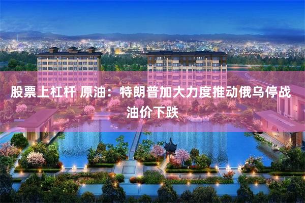 股票上杠杆 原油：特朗普加大力度推动俄乌停战 油价下跌