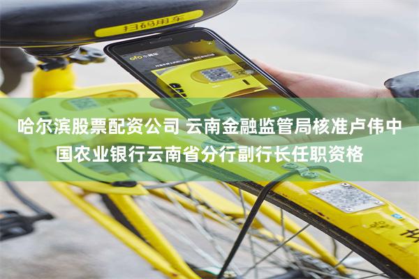 哈尔滨股票配资公司 云南金融监管局核准卢伟中国农业银行云南省分行副行长任职资格