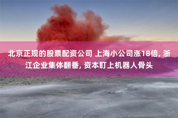 北京正规的股票配资公司 上海小公司涨18倍, 浙江企业集体翻番, 资本盯上机器人骨头