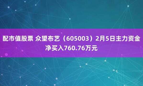 配市值股票 众望布艺（605003）2月5日主力资金净买入760.76万元