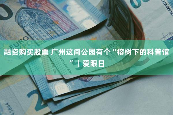 融资购买股票 广州这间公园有个“榕树下的科普馆”｜爱眼日