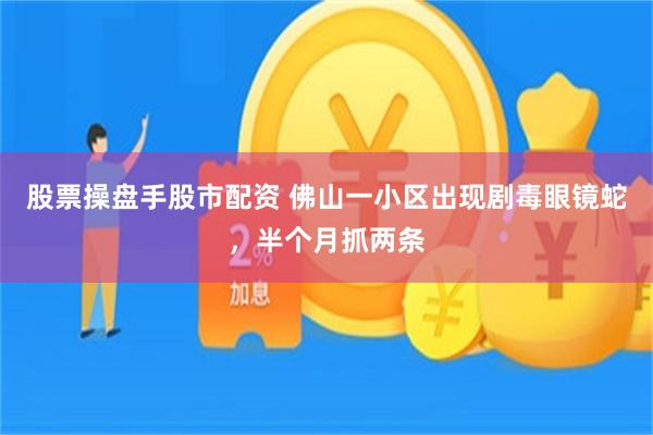 股票操盘手股市配资 佛山一小区出现剧毒眼镜蛇，半个月抓两条