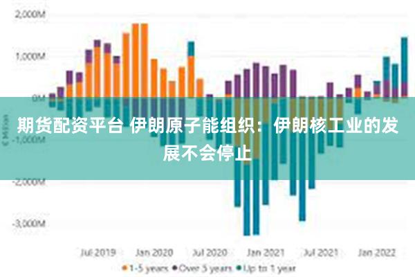 期货配资平台 伊朗原子能组织：伊朗核工业的发展不会停止