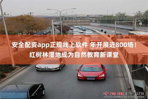安全配资app正规线上软件 年开展近800场！红树林湿地成为自然教育新课堂