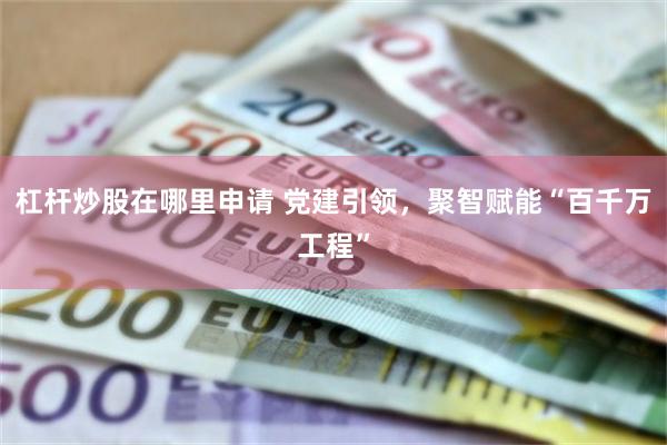 杠杆炒股在哪里申请 党建引领，聚智赋能“百千万工程”