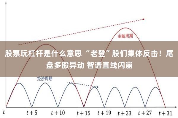 股票玩杠杆是什么意思 “老登”股们集体反击！尾盘多股异动 智谱直线闪崩