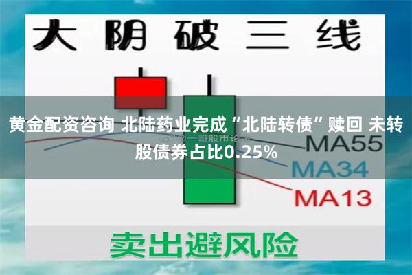 黄金配资咨询 北陆药业完成“北陆转债”赎回 未转股债券占比0.25%