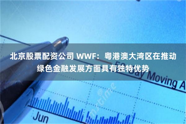 北京股票配资公司 WWF：粤港澳大湾区在推动绿色金融发展方面具有独特优势