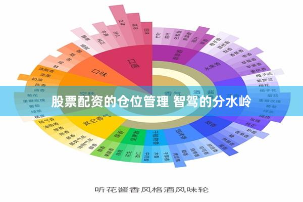 股票配资的仓位管理 智驾的分水岭