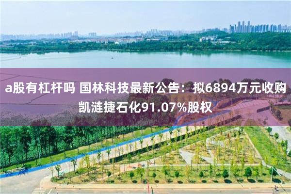 a股有杠杆吗 国林科技最新公告：拟6894万元收购凯涟捷石化91.07%股权
