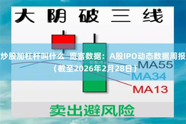炒股加杠杆叫什么  览富数据：A股IPO动态数据周报（截至2026年2月28日）