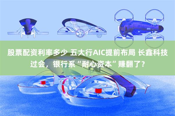股票配资利率多少 五大行AIC提前布局 长鑫科技过会,银行系“耐心资本”赚翻了?