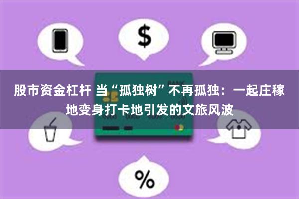 股市资金杠杆 当“孤独树”不再孤独：一起庄稼地变身打卡地引发的文旅风波