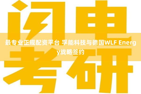 最专业正规配资平台 孚能科技与德国WLF Energy战略签约