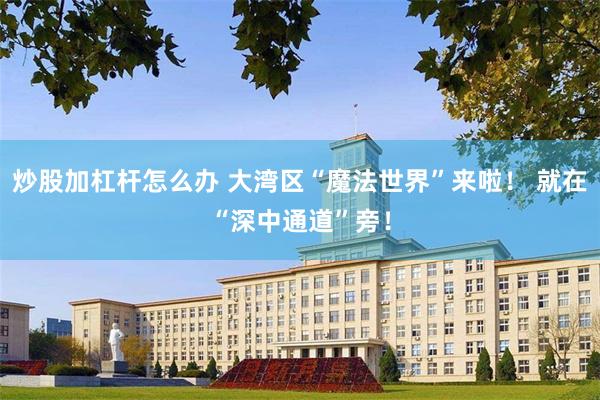 炒股加杠杆怎么办 大湾区“魔法世界”来啦! 就在“深中通道”旁!