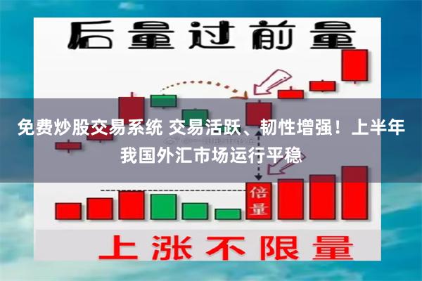 免费炒股交易系统 交易活跃、韧性增强！上半年我国外汇市场运行平稳