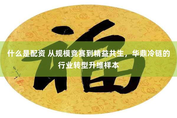 什么是配资 从规模竞赛到精益共生，华鼎冷链的行业转型升维样本