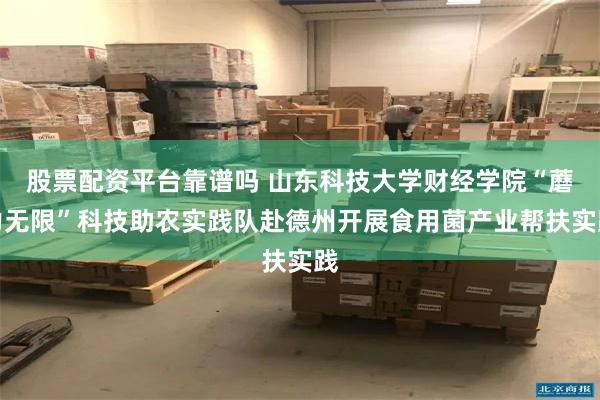 股票配资平台靠谱吗 山东科技大学财经学院“蘑力无限”科技助农实践队赴德州开展食用菌产业帮扶实践
