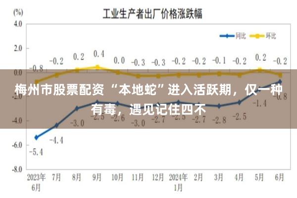 梅州市股票配资 “本地蛇”进入活跃期，仅一种有毒，遇见记住四不