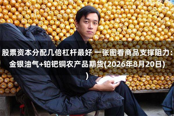 股票资本分配几倍杠杆最好 一张图看商品支撑阻力:金银油气+铂钯铜农产品期货(2026年8月20日)