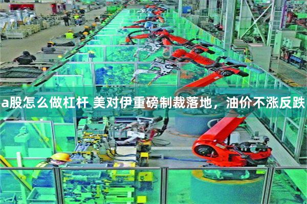 a股怎么做杠杆 美对伊重磅制裁落地，油价不涨反跌