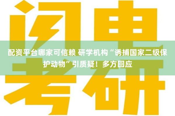 配资平台哪家可信赖 研学机构“诱捕国家二级保护动物”引质疑！多方回应