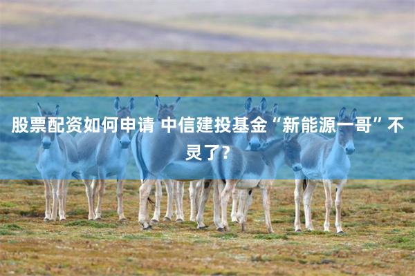 股票配资如何申请 中信建投基金“新能源一哥”不灵了?