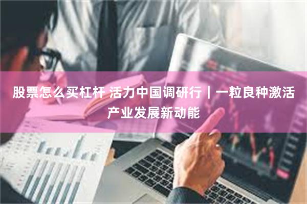 股票怎么买杠杆 活力中国调研行|一粒良种激活产业发展新动能