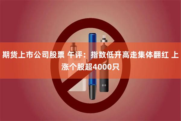 期货上市公司股票 午评：指数低开高走集体翻红 上涨个股超4000只