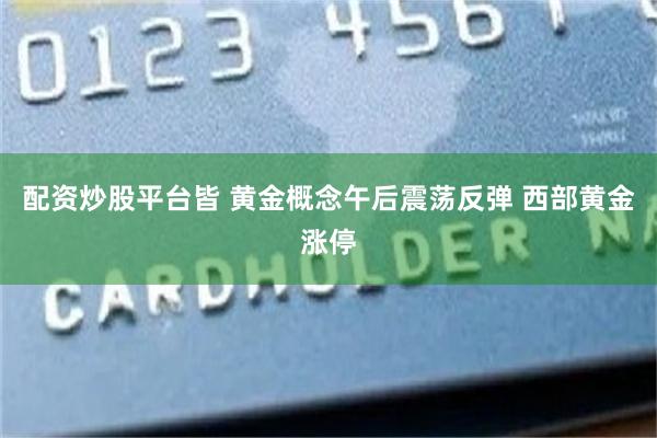 配资炒股平台皆 黄金概念午后震荡反弹 西部黄金涨停