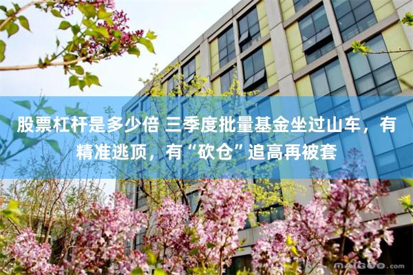 股票杠杆是多少倍 三季度批量基金坐过山车，有精准逃顶，有“砍仓”追高再被套
